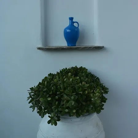 Appartement Helen's Minimal & Alikí