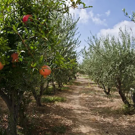Appartement Helen's Minimal & Alikí