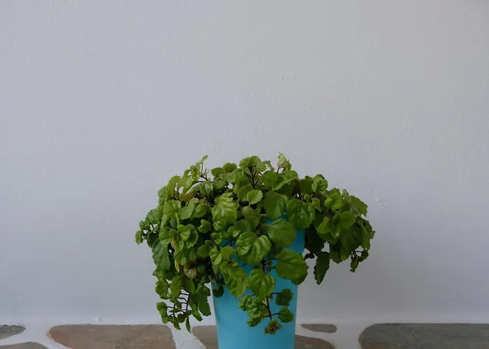 Apartamento Helen's Minimal & *