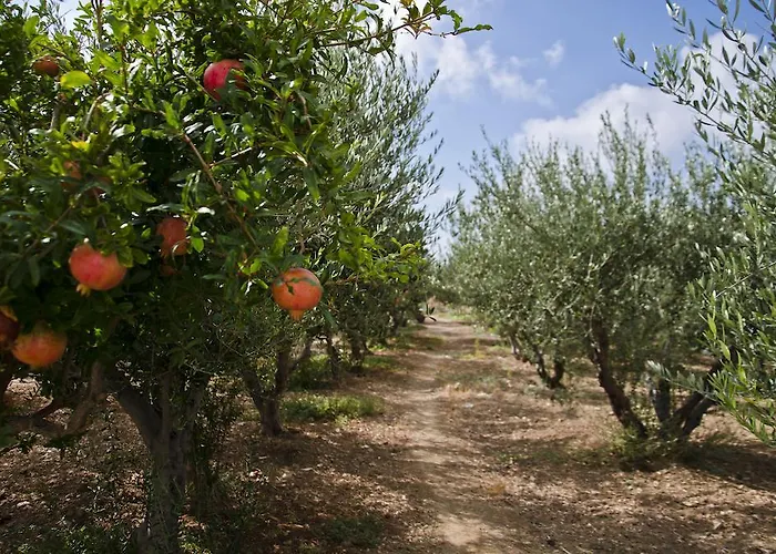 Apartment Helen's Minimal & Alikí